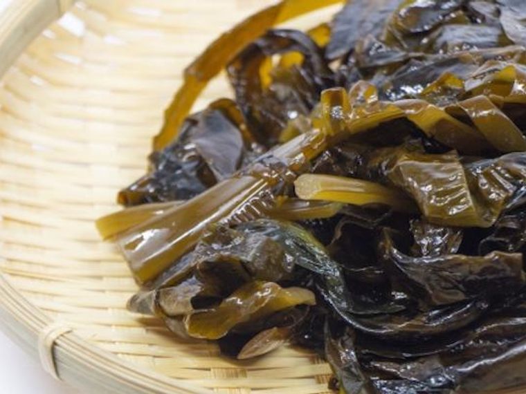 犬はわかめを食べても大丈夫 めかぶや茎わかめについても紹介 ペトコト