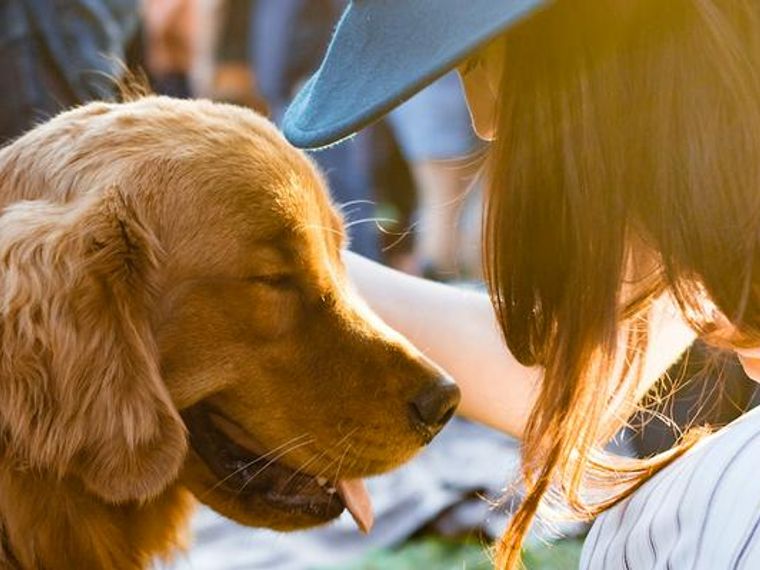 犬アレルギーでも犬を飼える 原因と症状 対策を紹介 ペトコト