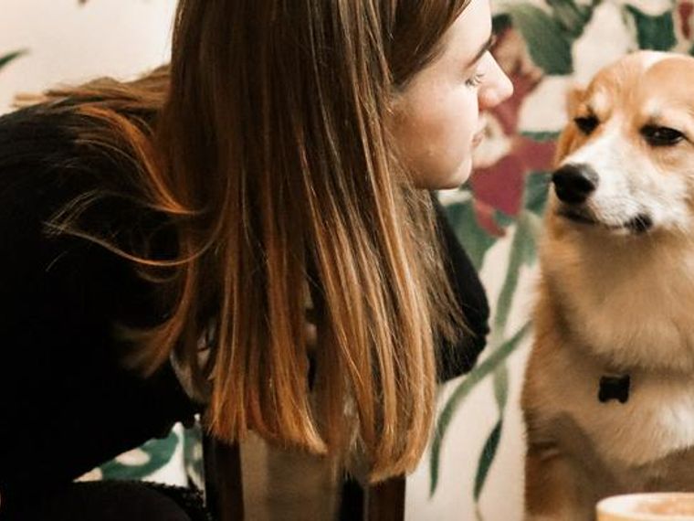 梅田周辺のドッグカフェ 犬同伴可レストランおすすめ7選 人気のカフェを紹介 ペトコト