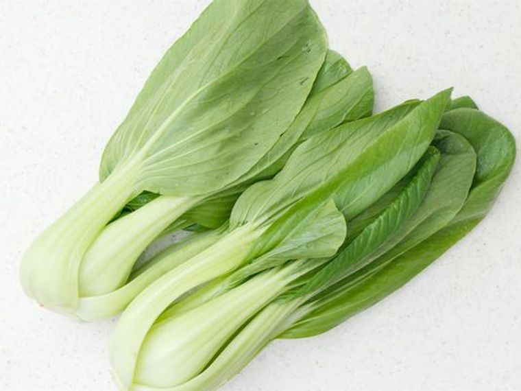 犬はチンゲンサイを食べても大丈夫 与え方や注意点を栄養管理士が解説 ペトコト