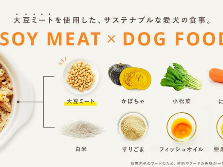 PETOKOTO FOODSが大豆ミートのドッグフード開発をスタート！試食モニターを募集します。 | ペトコト