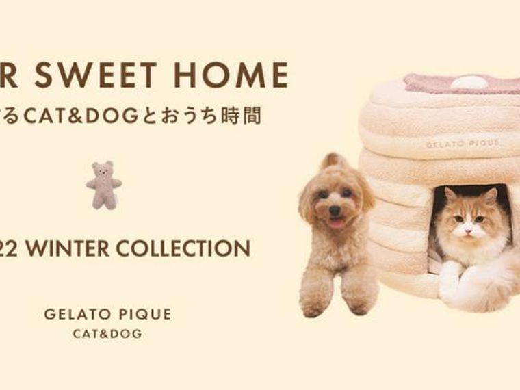 大人気「ジェラピケ」の犬猫グッズに冬の新作が登場！ | ペトコト