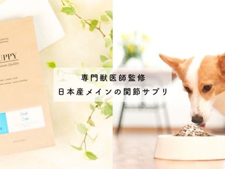 Petokotoオリジナルの関節サプリメントができました 関節専門医獣医師と開発した無添加サプリです ペトコト Petokotoオリジナルの関節サプリメントができました 関節専門医獣医師と開発した無添加サプリです ペトコト